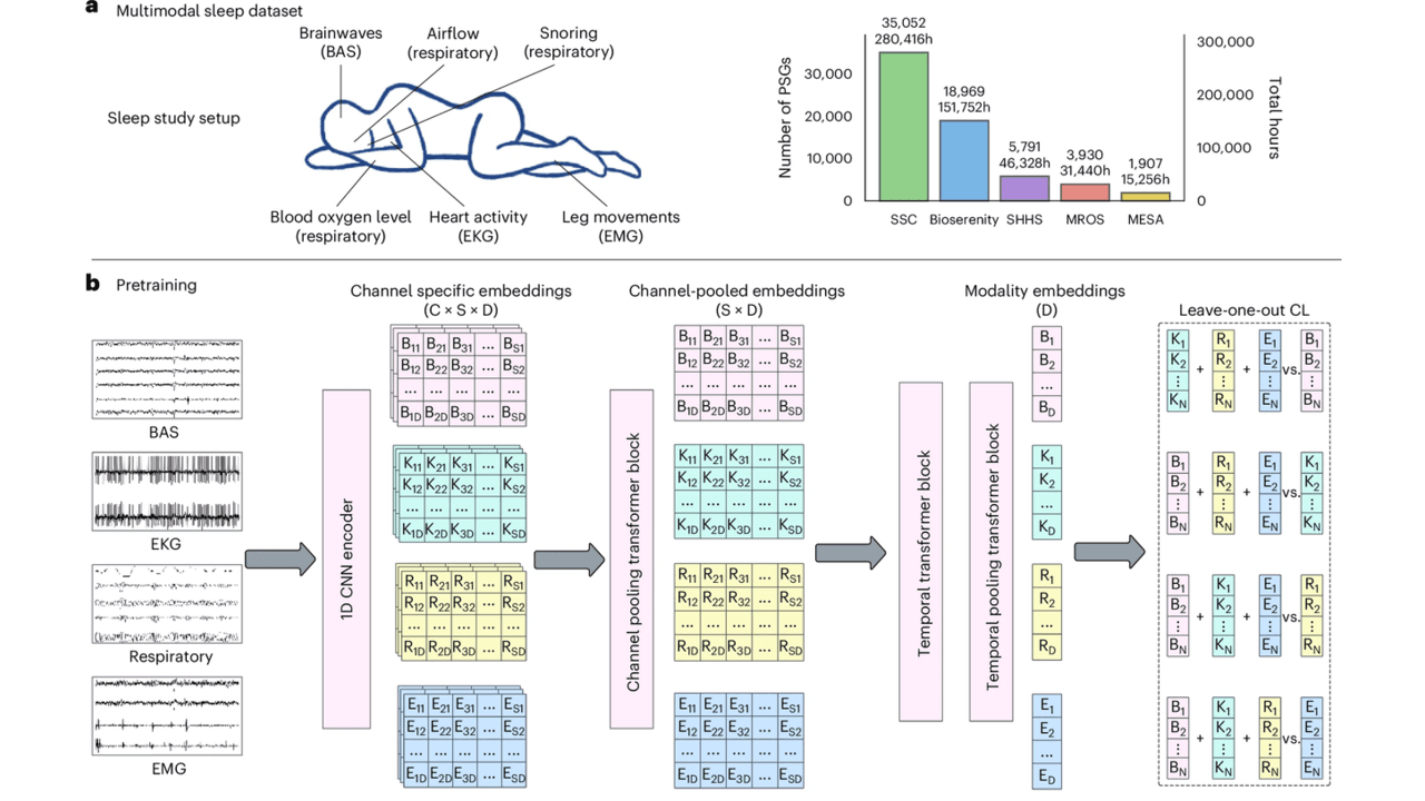 SleepFM AI Model Predicts 130 Diseases From One Night of Sleep Data